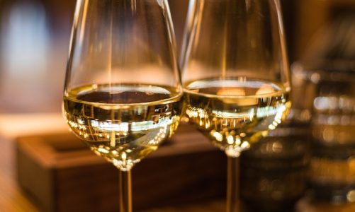 La dematerializzazione dei registri vitivinicoli: il futuro dell’efficienza e della trasparenza nel settore
